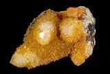 Sunshine Cactus Quartz Crystal - South Africa #93687-1